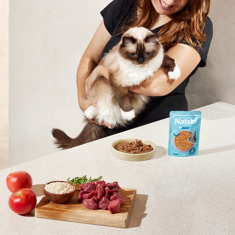 Steamed Gravy Cat Beef